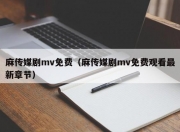 麻传媒剧mv免费（麻传媒剧mv免费观看最新章节）