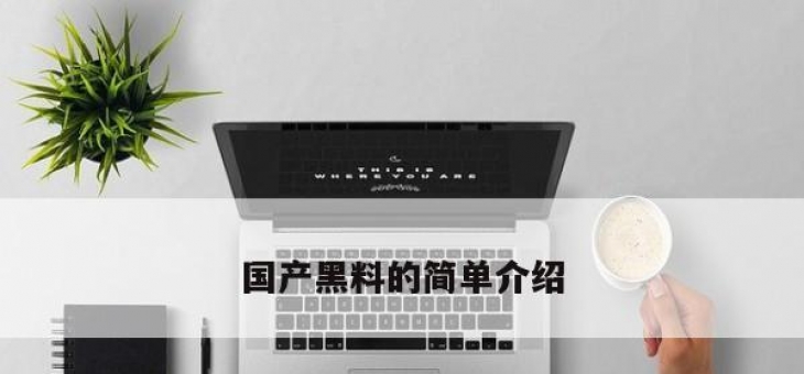 国产黑料的简单介绍