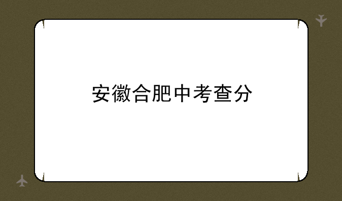 安徽合肥中考查分