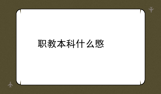 职教本科什么意思