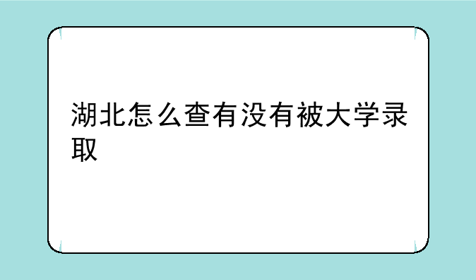 湖北怎么查有没有被大学录取