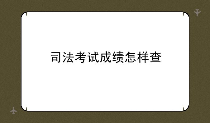 司法考试成绩怎样查