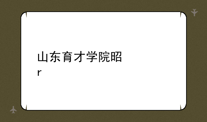 山东育才学院是几本
