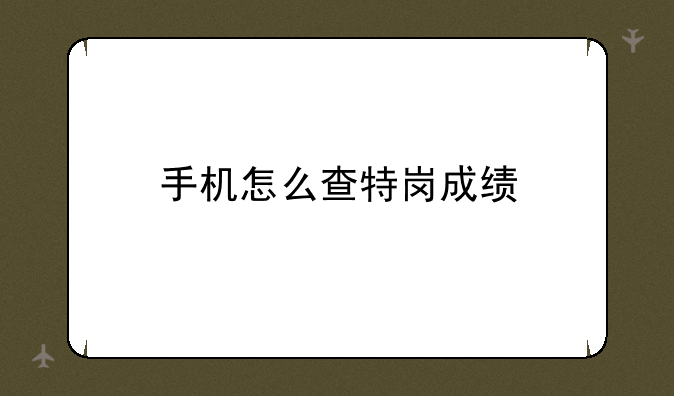 手机怎么查特岗成绩