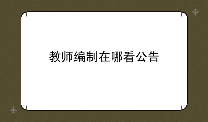 教师编制在哪看公告