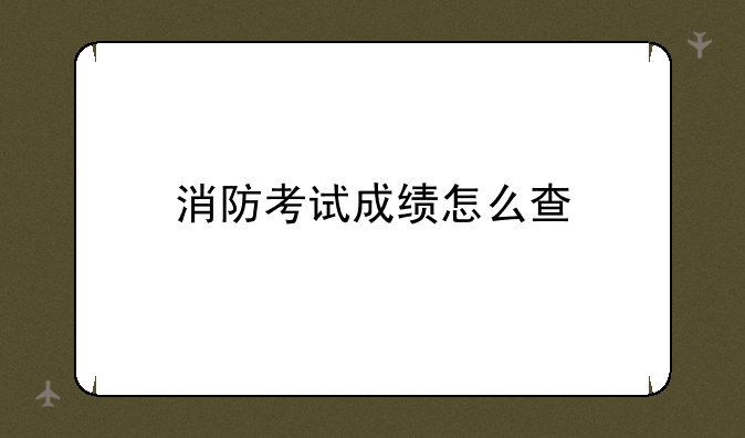 消防考试成绩怎么查