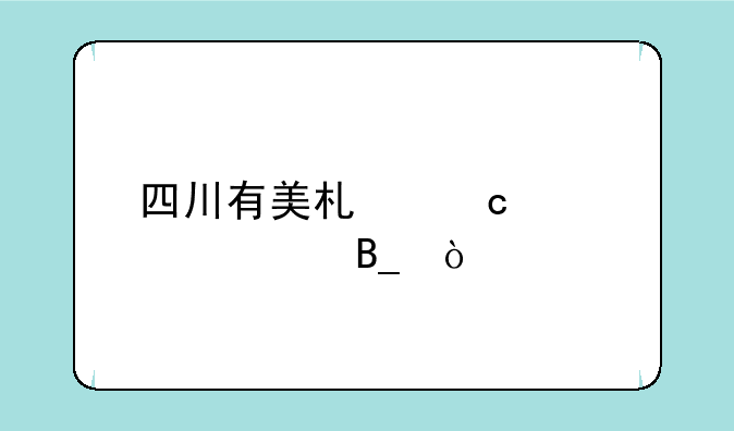 四川有美术高中学校吗？