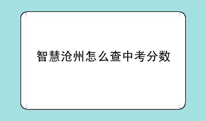 智慧沧州怎么查中考分数