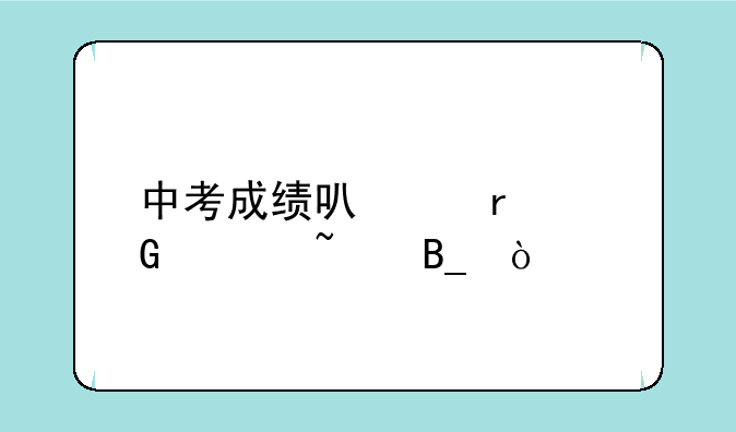 中考成绩可以在网上查吗？