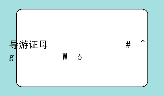 导游证每年什么时候考试？