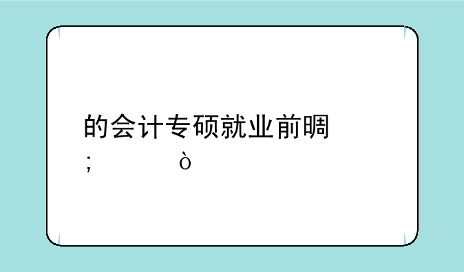的会计专硕就业前景怎样？