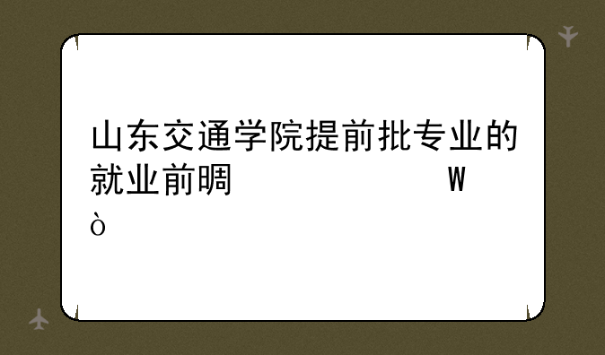 山东交通学院提前批专业的就业前景如何？