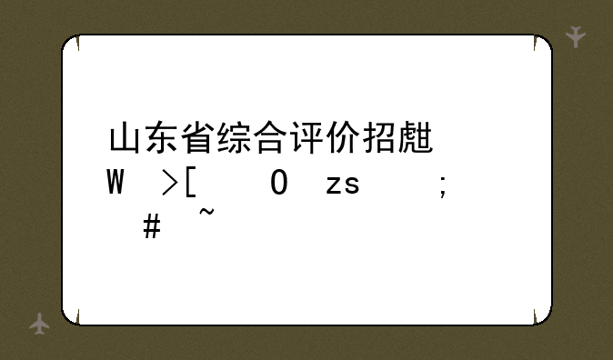 山东省综合评价招生录取结果怎么查询