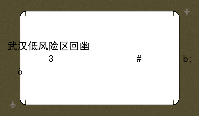 武汉低风险区回广水市希要什么证明？