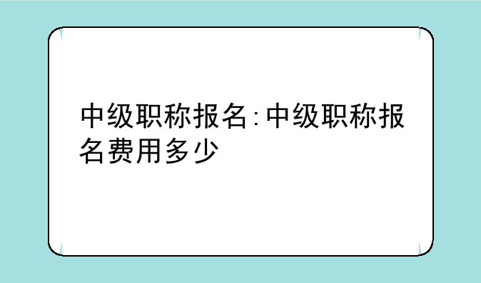 中级职称报名:中级职称报名费用多少