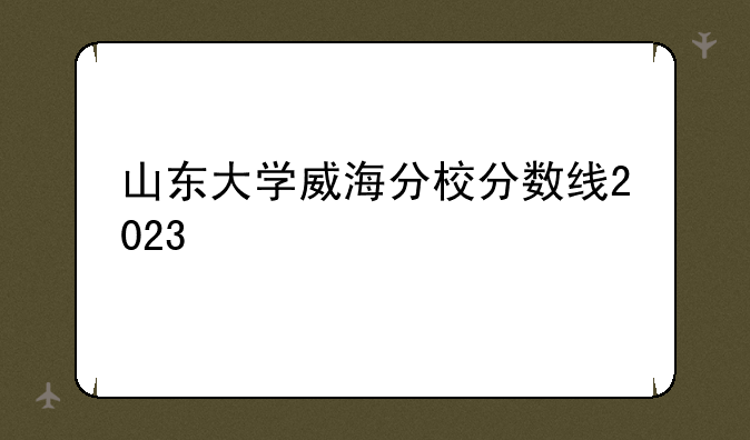 山东大学威海分校分数线2023