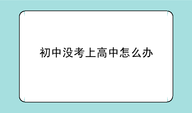 初中没考上高中怎么办