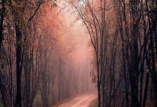 天堂MV入口（天堂视频歌曲）